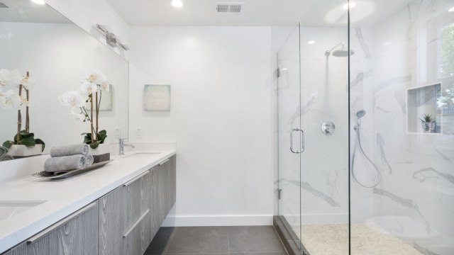 HELP! Clear Glass Shower Doors w/ Hard Water Stains