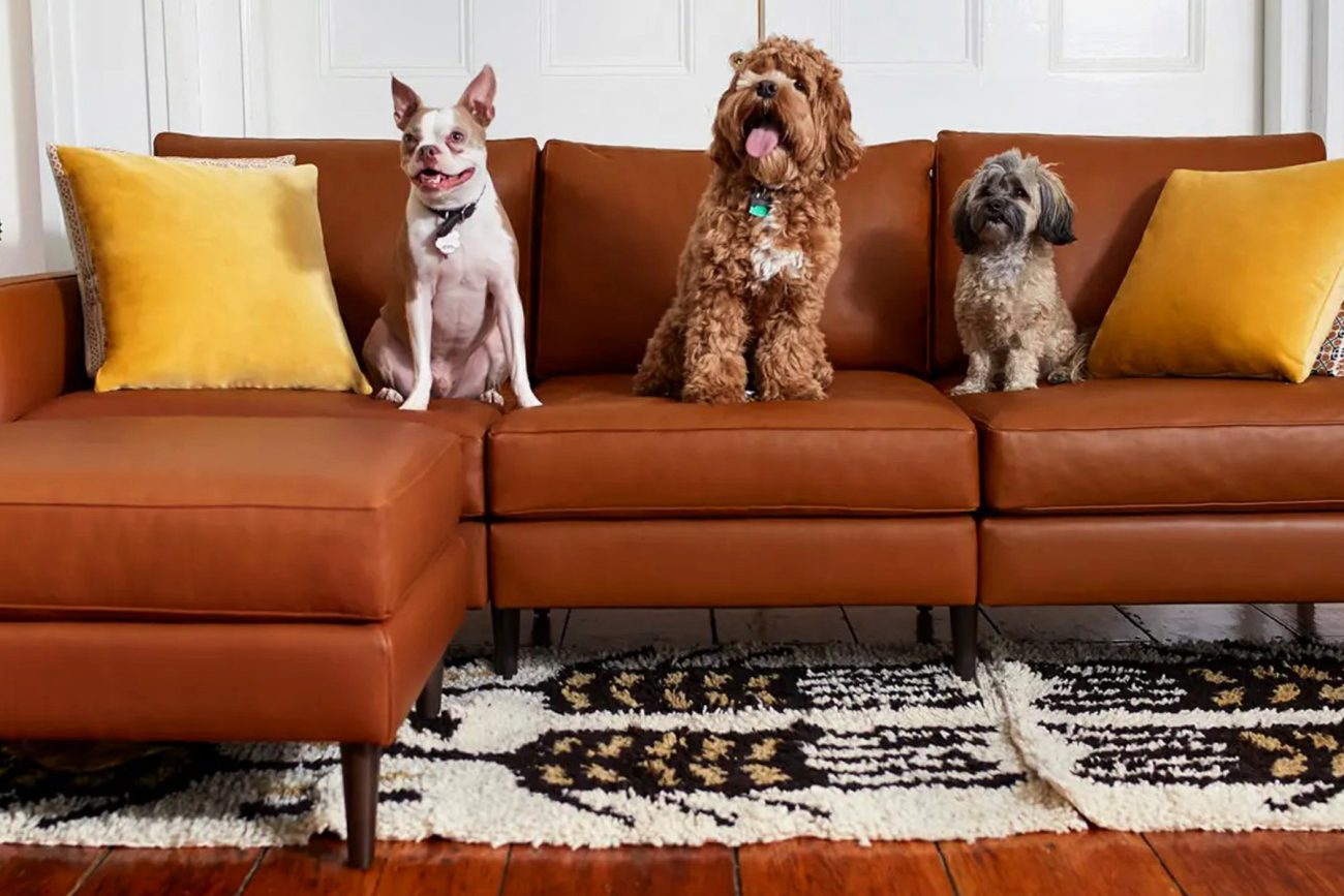 Allform Sofa Reviews