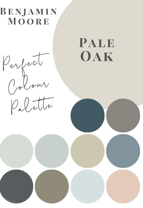 Benjamin Moore Pale Oak (OC - 20)