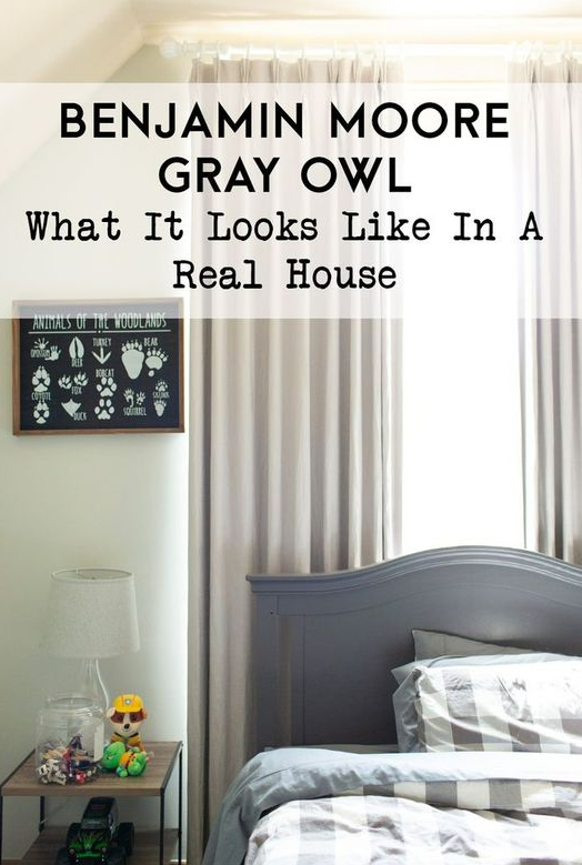 Features of Gray Owl Benjamin Moore