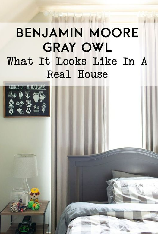 The Ultimate Review of Benjamin Moore Gray Owl OC-52 Paint Color ...