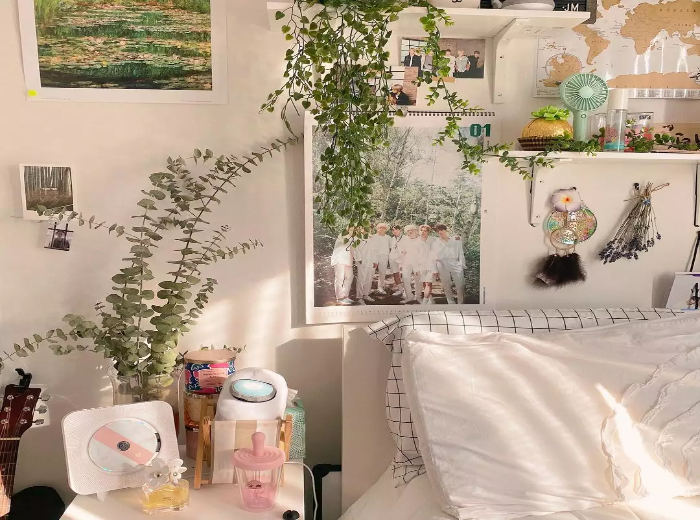 Indoor Plants Create Aesthetic Bedrooms