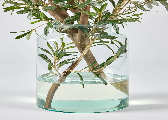 Olive Branch Arrangement in Glass