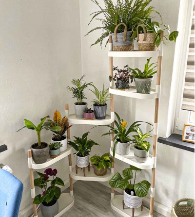 Planter Shelves