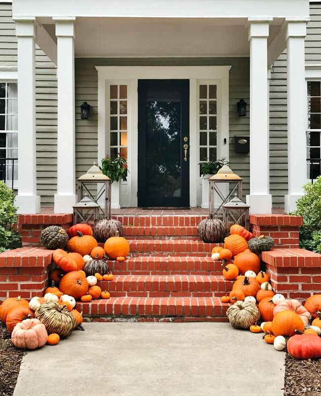 Pumpkin Display in Variety