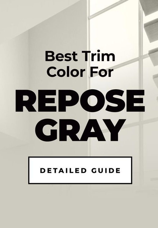 Sherwin Williams Gray Repose (SW 7015)