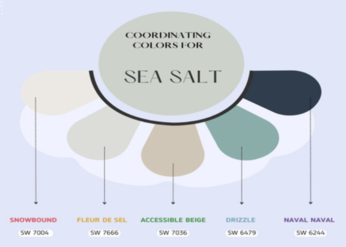 What Colors Will Go Perfectly with The Sea Salt