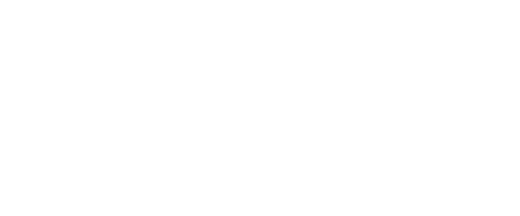 fox-13