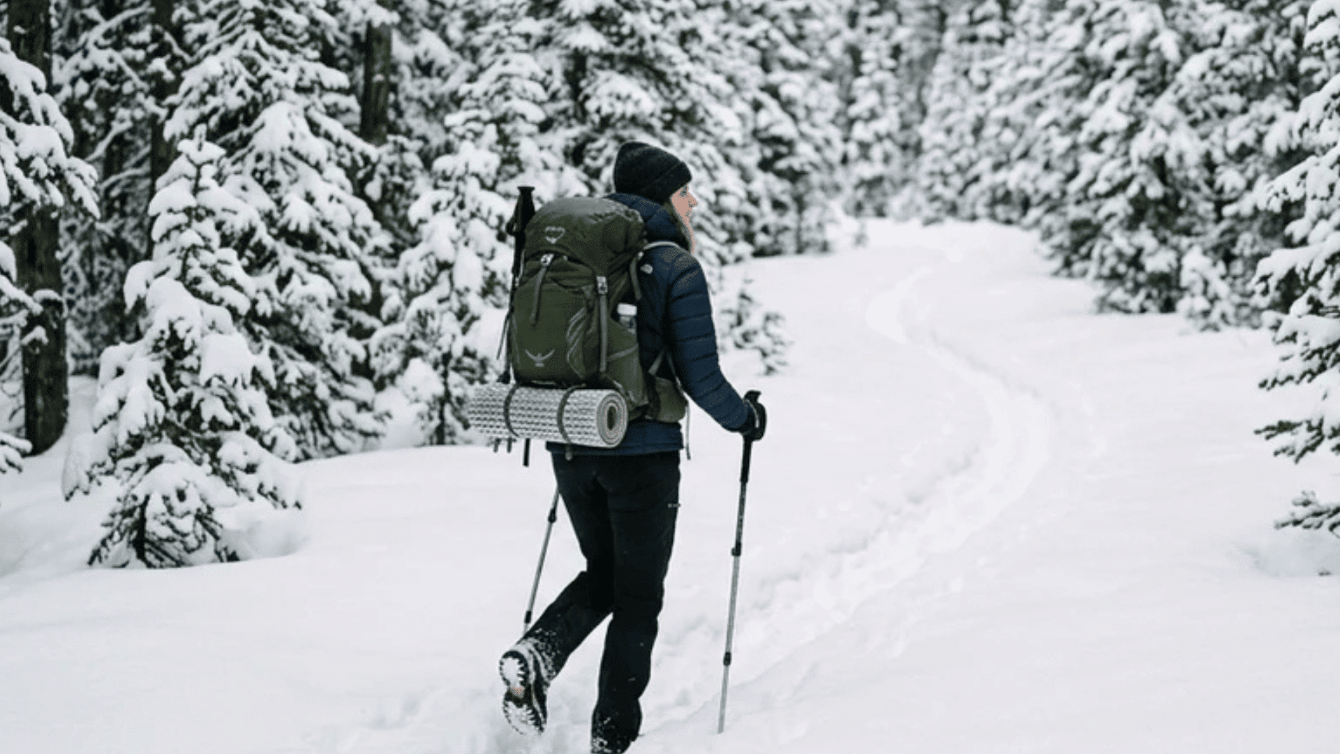 person hiking through snow covered forest with backpack and poles walking along narrow trail surrounded by dense winter trees