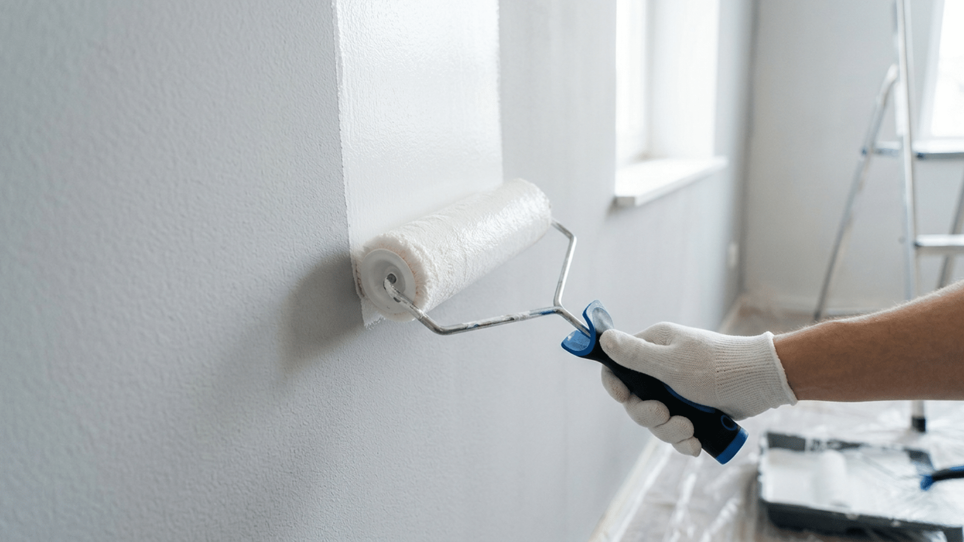 used a paint roller to apply titanium mordern paint on a wall in a room