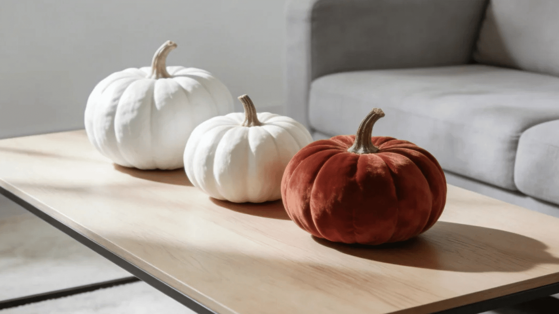 minimal coffee table with white and velvet pumpkins in modern neutral fall living room decor